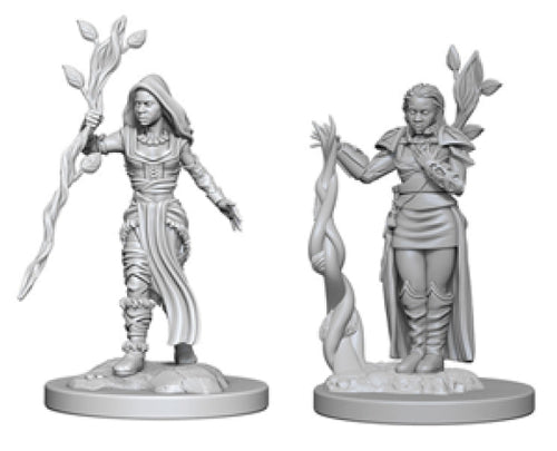 Nolzur`s Marvelous Unpainted : W2 Human Female Druid