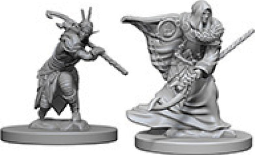 Nolzur`s Marvelous Unpainted : W4 Elf Male Druid