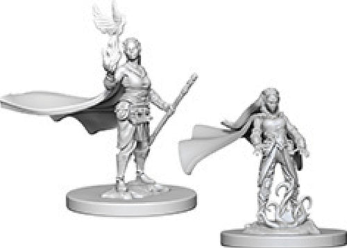 Nolzur`s Marvelous Unpainted : W4 Elf Female Druid