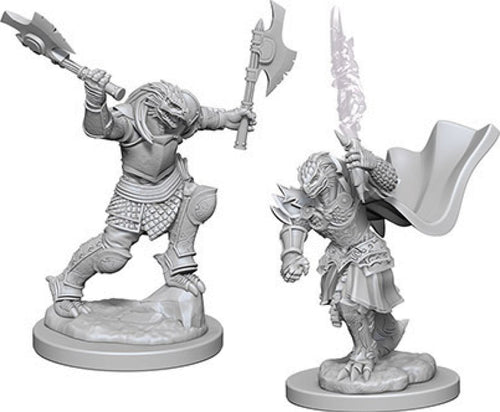 Nolzur`s Marvelous Unpainted : W4 Dragonborn Female Fighter