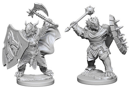 Nolzur`s Marvelous Unpainted : W4 Dragonborn Male Paladin