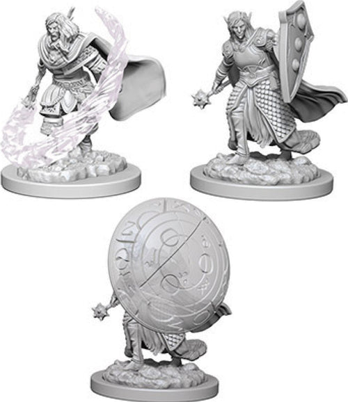 Nolzur`s Marvelous Unpainted : W5 Elf Male Cleric