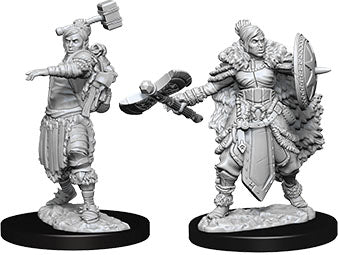 Nolzur`s Marvelous Unpainted : W9 Female Half-Orc Barbarian