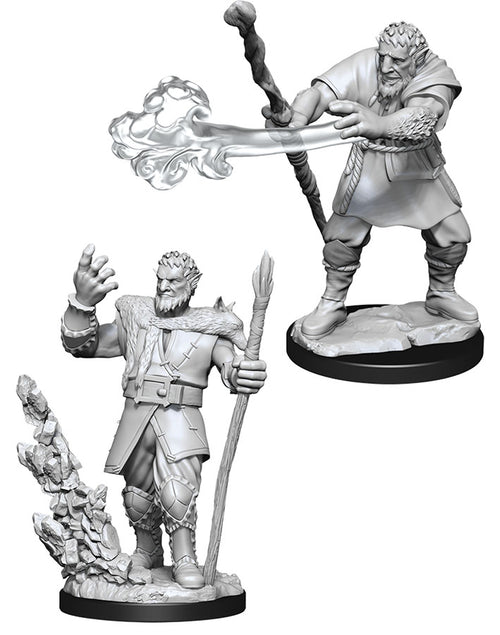 Nolzur`s Marvelous Unpainted Miniatures: W11 Male Firbolg Druid