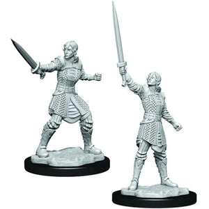 Critical Role Unpainted Miniatures: W1 Female Human Dwendalian Empire Fighter
