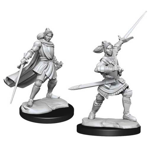 Critical Role Unpainted Miniatures: W1 Half-Elf Xhorhas Paladin