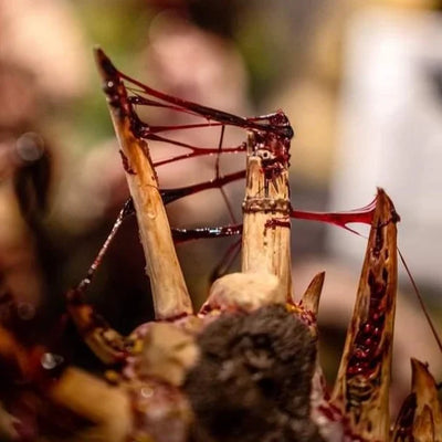 Dirty Down : Gore