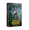 Bad Loon Rising