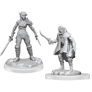 Dungeons & Dragons Nolzur`s Marvelous Unpainted Miniatures: W19 Elf Rogue & Half-Elf Rogue Protg