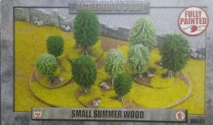 Battlefield in a Box: small summer wood