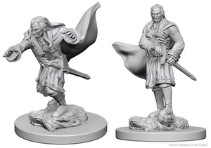 Nolzur`s Marvelous Unpainted Miniatures: W1 Vampires