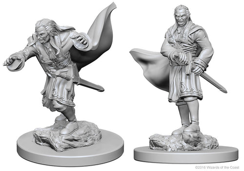 Nolzur`s Marvelous Unpainted Miniatures: W1 Vampires