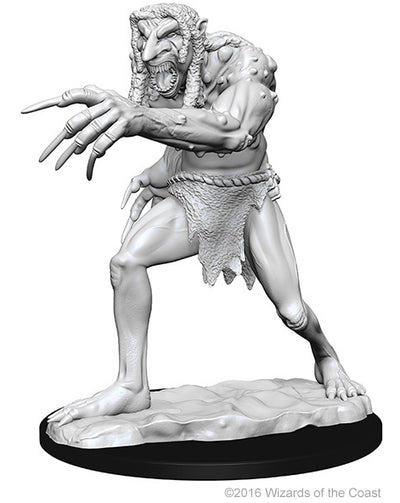Nolzur`s Marvelous Unpainted : W1 Troll