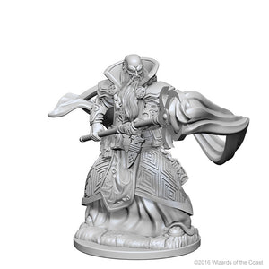 Nolzur`s Marvelous Unpainted Miniatures: W1 Human Male Wizard