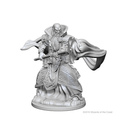 Nolzur`s Marvelous Unpainted Miniatures: W1 Human Male Wizard
