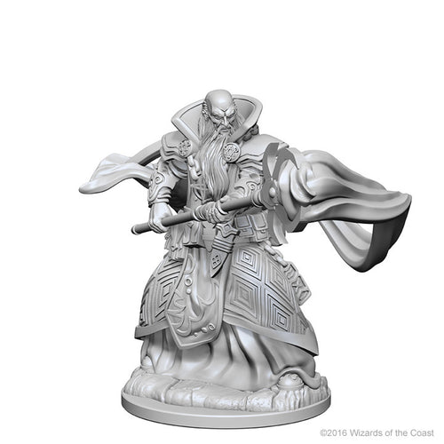 Nolzur`s Marvelous Unpainted Miniatures: W1 Human Male Wizard