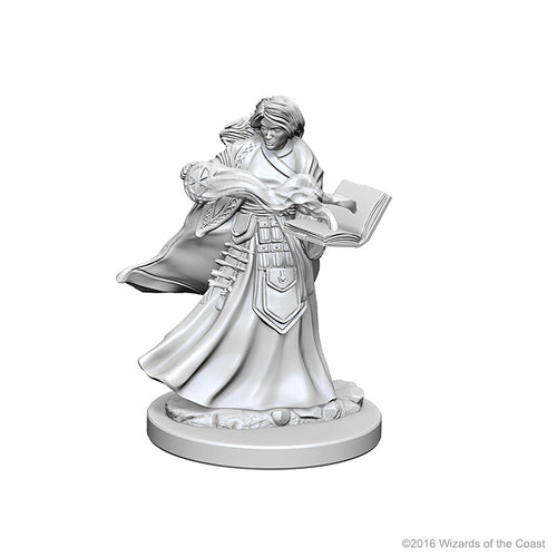 Nolzur`s Marvelous Unpainted Miniatures: W1 Human Female Wizard