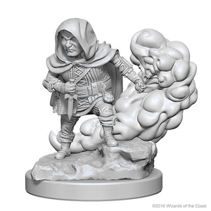 Nolzur`s Marvelous Unpainted Miniatures: W1 Halfling Male Rogue