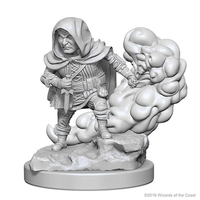 Nolzur`s Marvelous Unpainted Miniatures: W1 Halfling Male Rogue