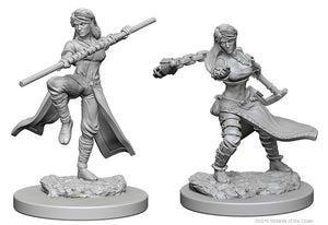 Nolzur`s Marvelous Unpainted Miniatures: W1 Human Female Monk