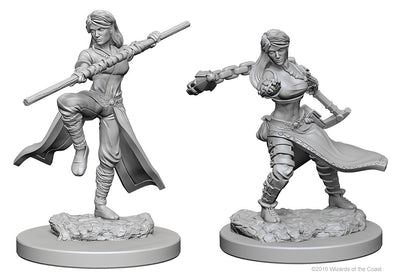 Nolzur`s Marvelous Unpainted Miniatures: W1 Human Female Monk