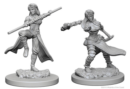 Nolzur`s Marvelous Unpainted Miniatures: W1 Human Female Monk