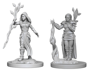 Nolzur`s Marvelous Unpainted : W2 Human Female Druid
