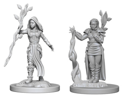 Nolzur`s Marvelous Unpainted : W2 Human Female Druid