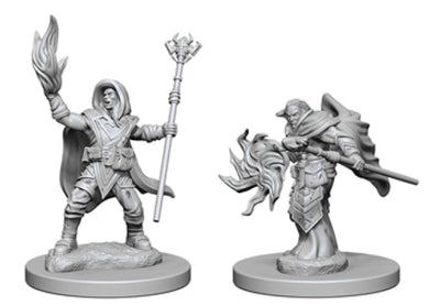 Nolzur`s Marvelous Unpainted Miniatures: W2 Elf Male Wizard
