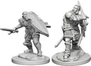 Nolzur`s Marvelous Unpainted : W3 Human Male Paladin