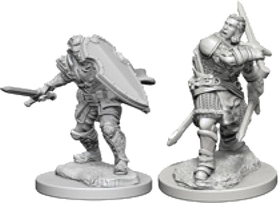Nolzur`s Marvelous Unpainted : W3 Human Male Paladin