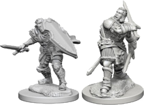 Nolzur`s Marvelous Unpainted : W3 Human Male Paladin