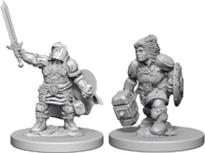 Nolzur`s Marvelous Unpainted : W3 Dwarf Female Paladin