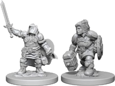 Nolzur`s Marvelous Unpainted : W3 Dwarf Female Paladin