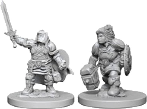 Nolzur`s Marvelous Unpainted : W3 Dwarf Female Paladin