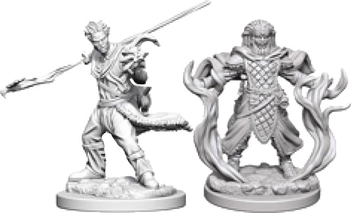 Nolzur`s Marvelous Unpainted Miniatures: W3 Human Male Druid