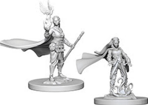 Nolzur`s Marvelous Unpainted : W4 Elf Female Druid