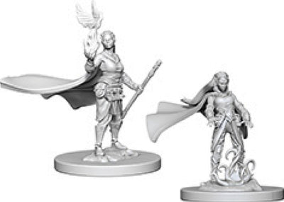 Nolzur`s Marvelous Unpainted : W4 Elf Female Druid
