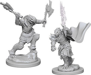 Nolzur`s Marvelous Unpainted : W4 Dragonborn Female Fighter