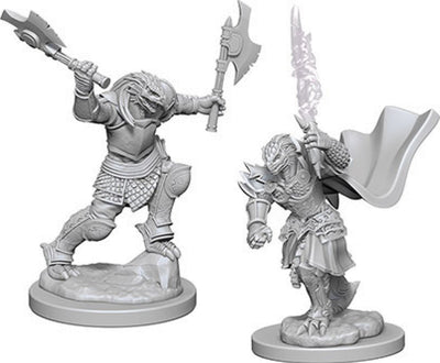 Nolzur`s Marvelous Unpainted : W4 Dragonborn Female Fighter