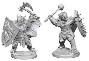 Nolzur`s Marvelous Unpainted : W4 Dragonborn Male Paladin