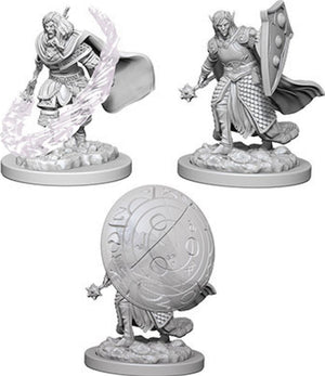 Nolzur`s Marvelous Unpainted : W5 Elf Male Cleric