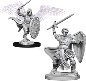 Nolzur`s Marvelous Unpainted : W5 Aasimar Male Paladin