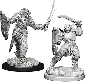 Nolzur`s Marvelous Unpainted : W5 Dragonborn Female Paladin