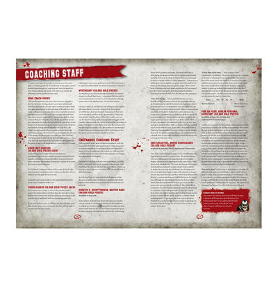 Inaugural Blood Bowl Almanac