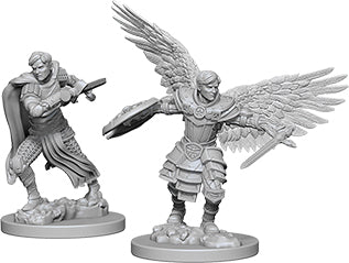 Nolzur`s Marvelous Unpainted : W6 Male Aasimar Fighter