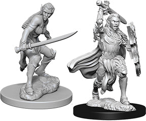 Nolzur`s Marvelous Unpainted : W6 Female Elf Fighter