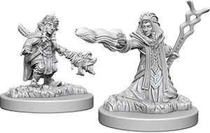 Nolzur`s Marvelous Unpainted : W6 Female Gnome Wizard