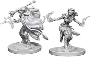 Nolzur`s Marvelous Unpainted Miniatures: W6 Female Tiefling Warlock