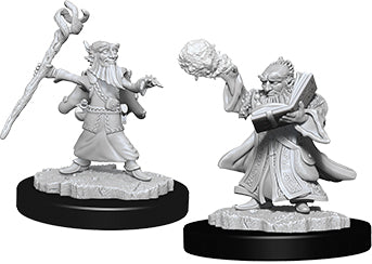 Nolzur`s Marvelous Unpainted : W6 Male Gnome Wizard